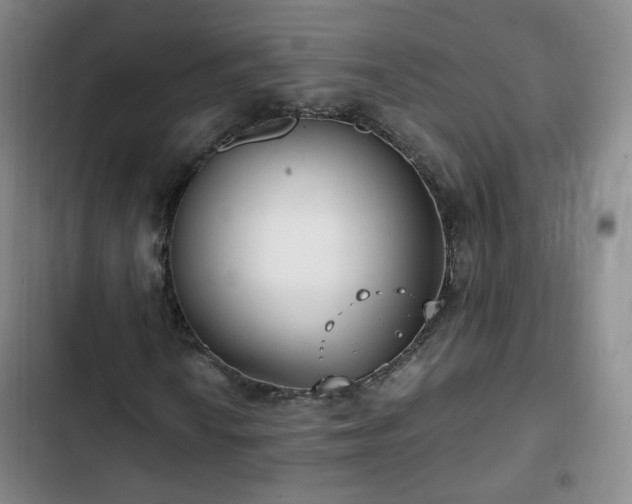 X0000102761010200808251023