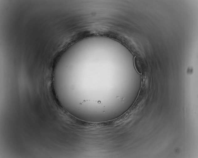 X0000102761012200808251023