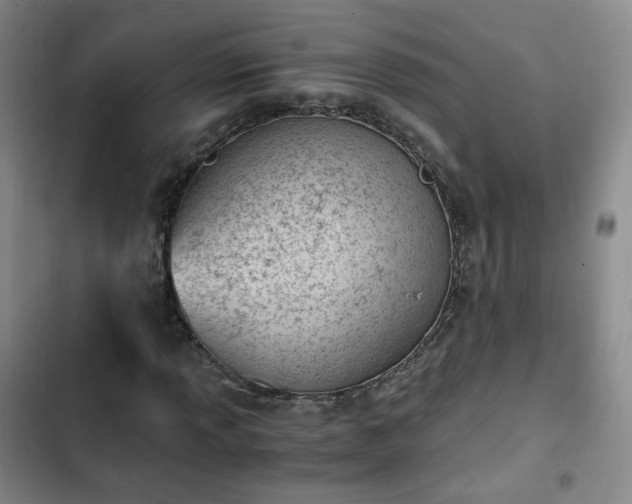 X0000102761013200808251023