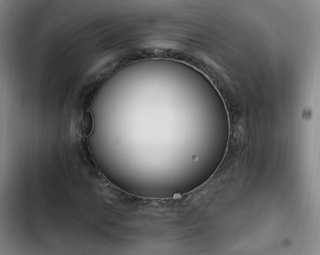 X0000102761014200808251023