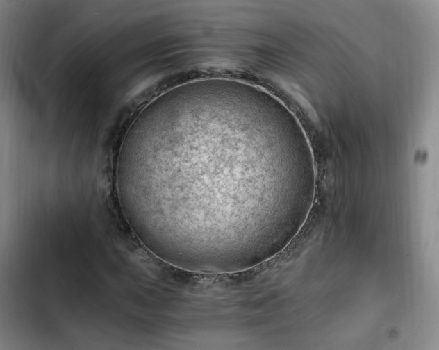 X0000102761015200808251023