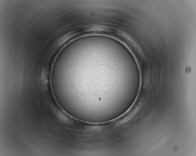 X0000102761017200808251023