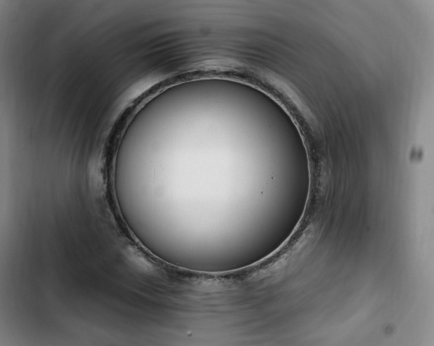 X0000102761018200808251023