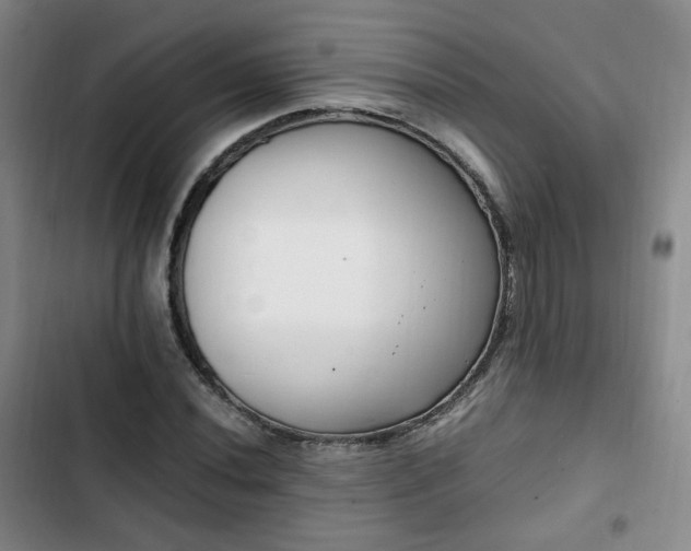 X0000102761020200808251023