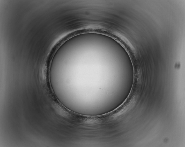 X0000102761021200808251023