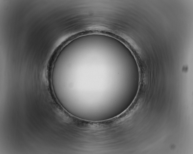 X0000102761022200808251023