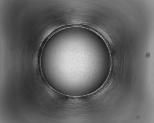 X0000102761023200808251023