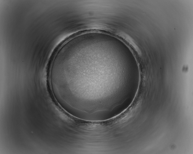 X0000102761024200808251023