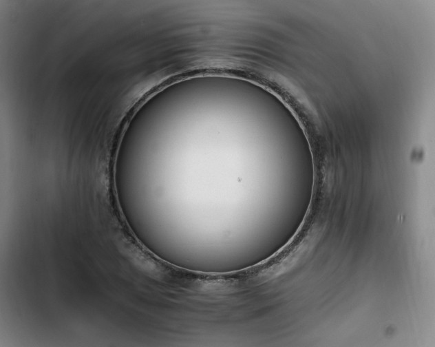 X0000102761025200808251023