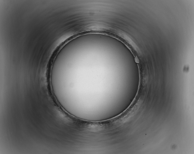 X0000102761026200808251023