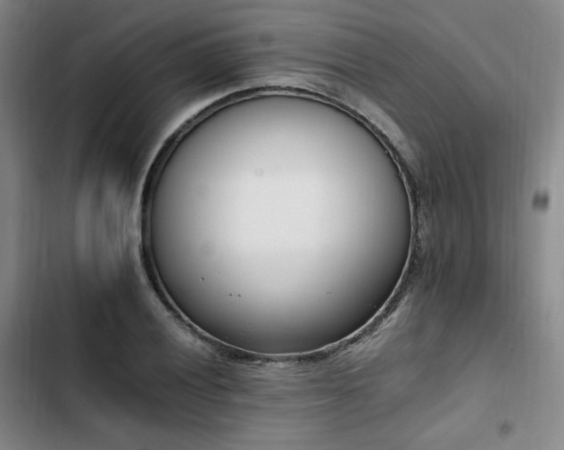 X0000102761028200808251023