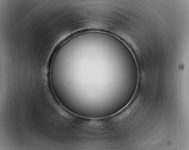 X0000102761029200808251023