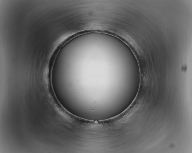 X0000102761030200808251023