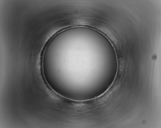 X0000102761031200808251023