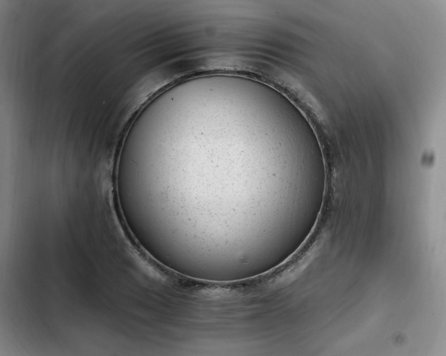 X0000102761033200808251023