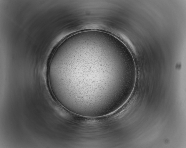 X0000102761035200808251023