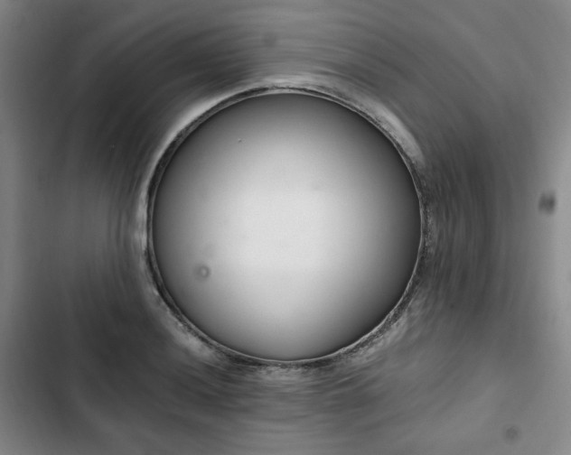 X0000102761036200808251023