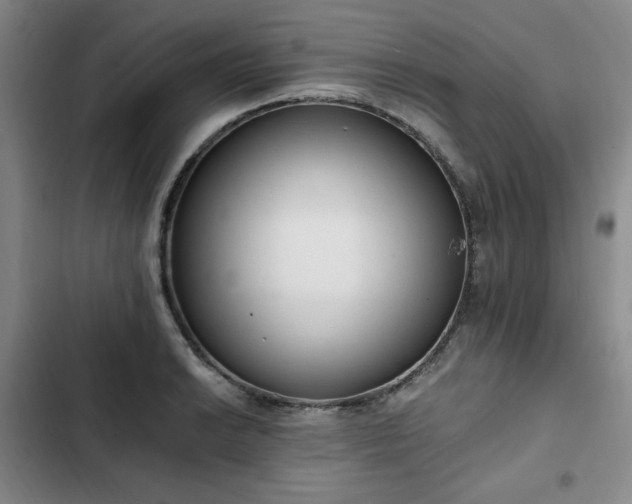 X0000102761038200808251024