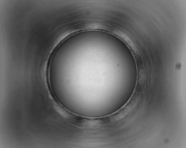 X0000102761039200808251024