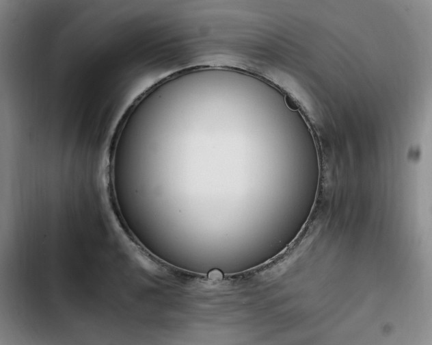 X0000102761040200808251024