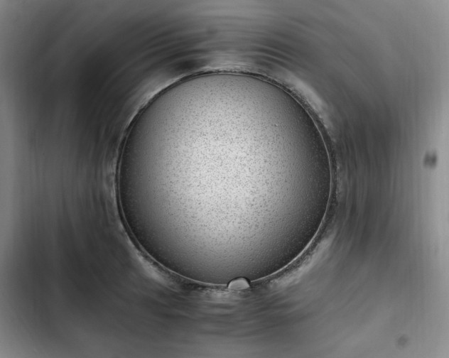 X0000102761041200808251024