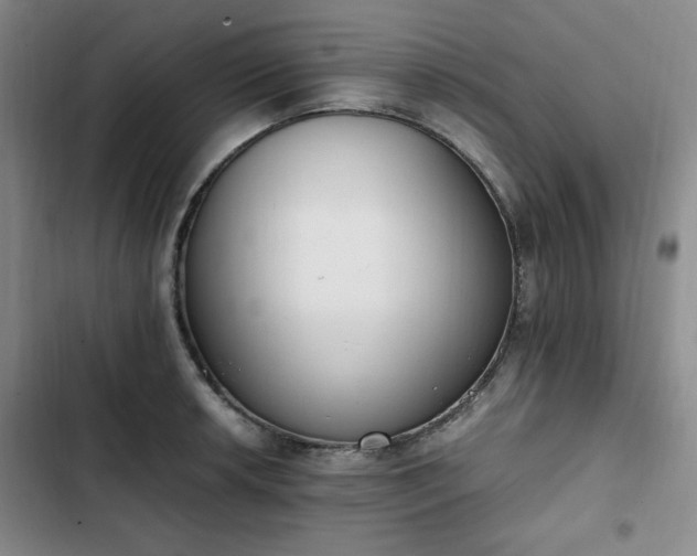 X0000102761042200808251024