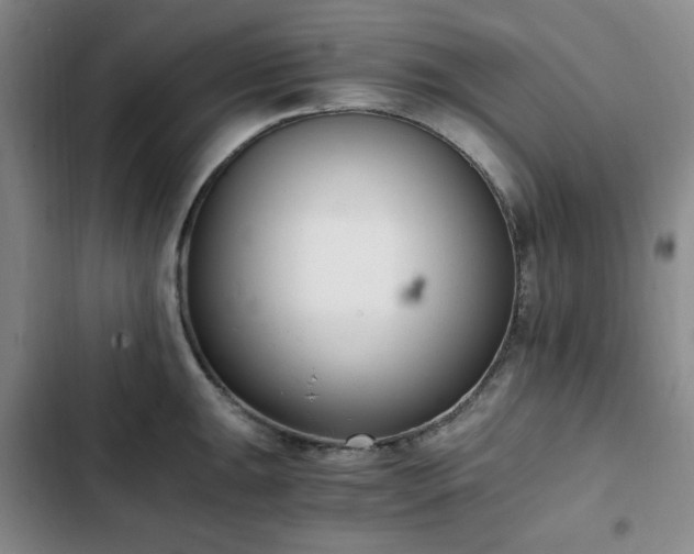 X0000102761047200808251024