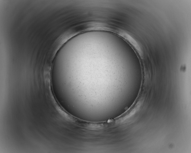 X0000102761049200808251024