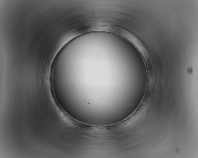 X0000102761050200808251024