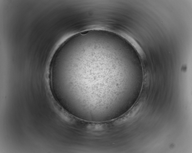 X0000102761051200808251024