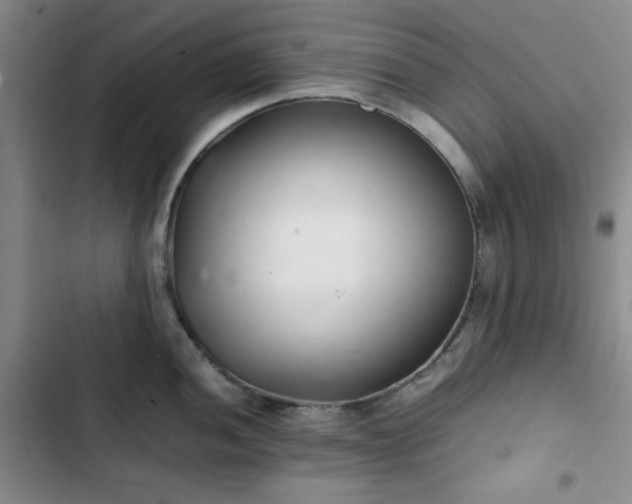 X0000102761052200808251024