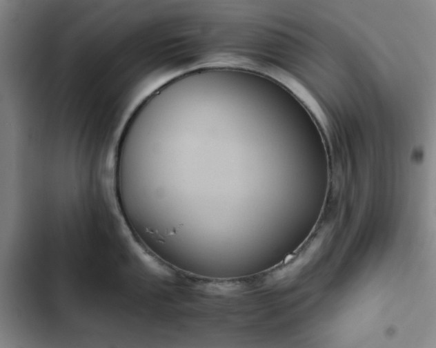 X0000102761053200808251024