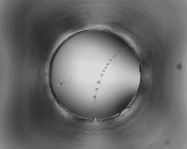 X0000102761054200808251024