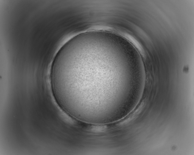 X0000102761055200808251024