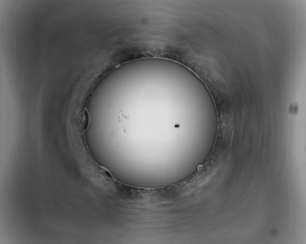 X0000102761057200808251023