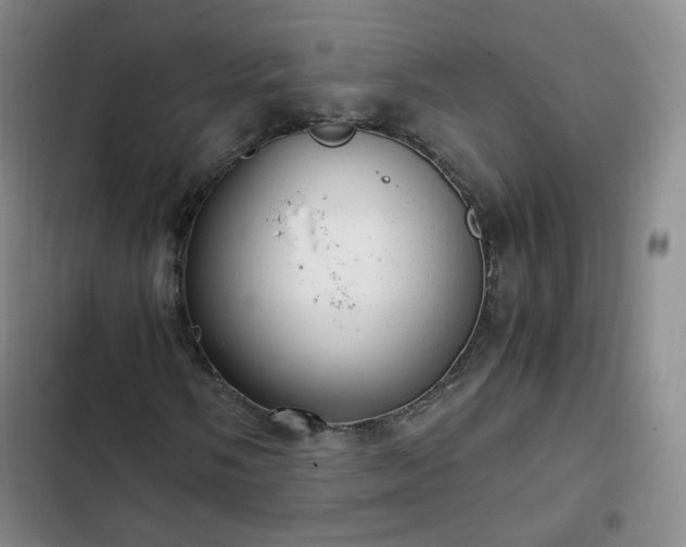 X0000102761058200808251023