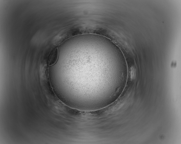 X0000102761059200808251023