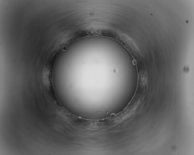 X0000102761060200808251023