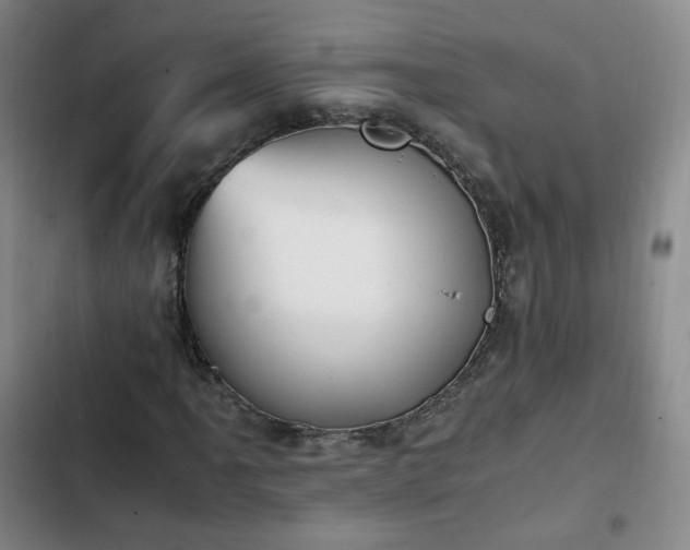 X0000102761061200808251023