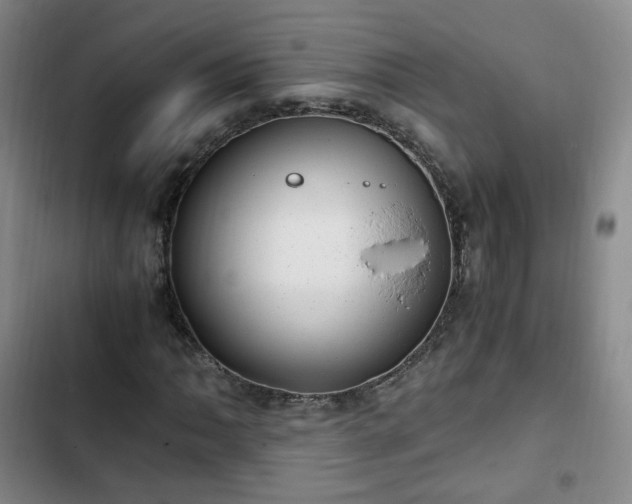 X0000102761062200808251023