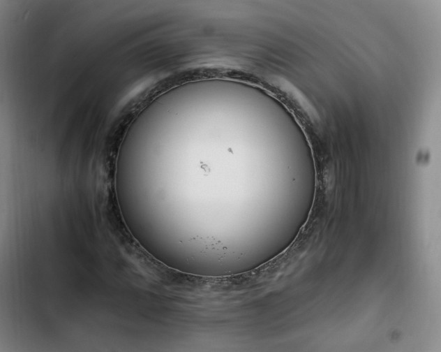 X0000102761064200808251023