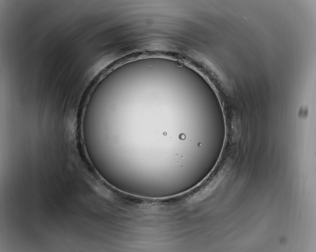 X0000102761065200808251023