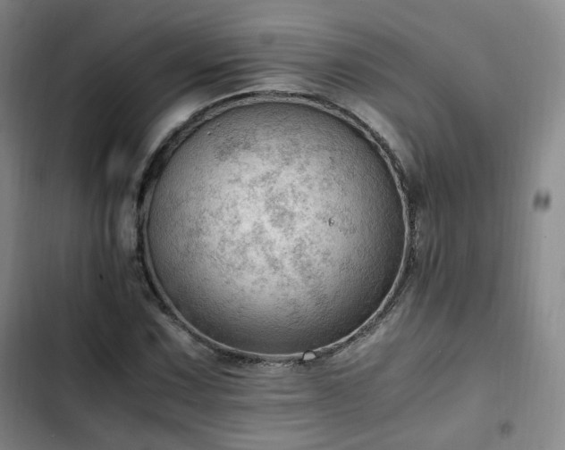 X0000102761067200808251023