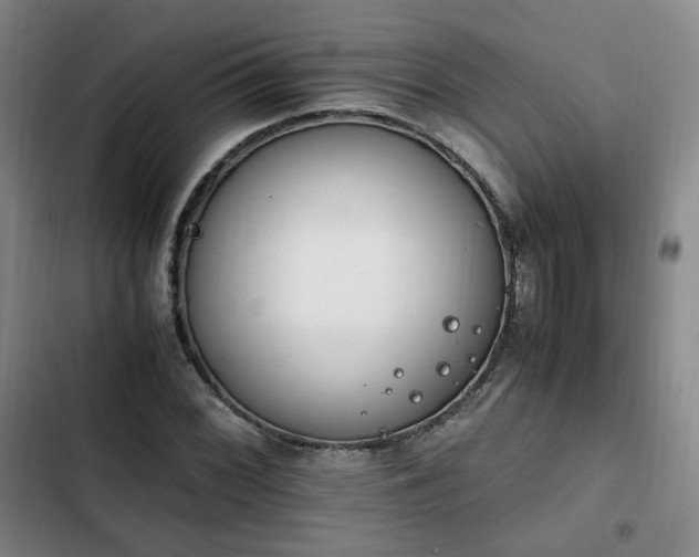 X0000102761068200808251023