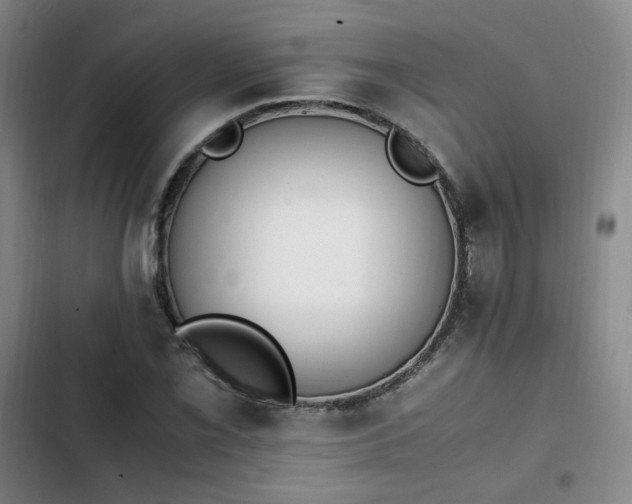 X0000102761069200808251023