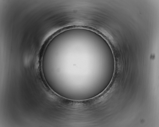 X0000102761070200808251023