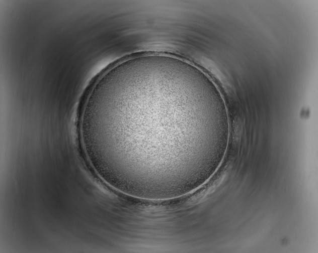 X0000102761071200808251023