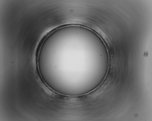 X0000102761072200808251023