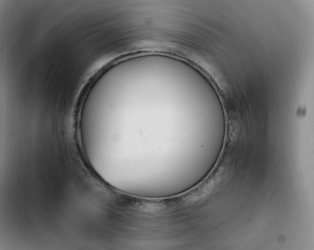 X0000102761074200808251023