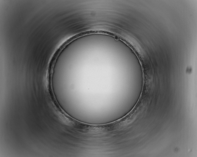 X0000102761076200808251023